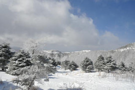 겨울산